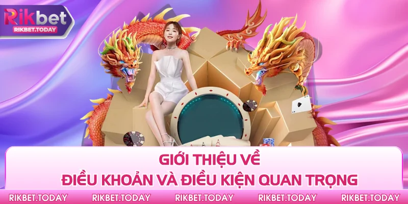 Giới thiệu về điều khoản và điều kiện quan trọng