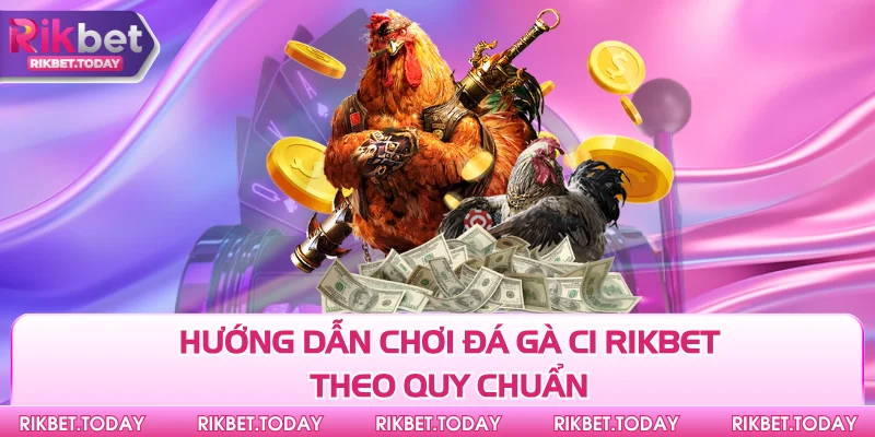 Hướng dẫn chơi đá gà C1 Rikbet theo quy chuẩn