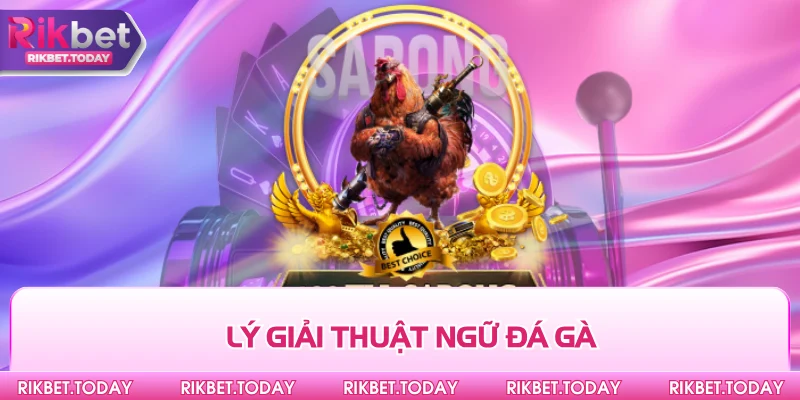 Lý giải thuật ngữ đá gà