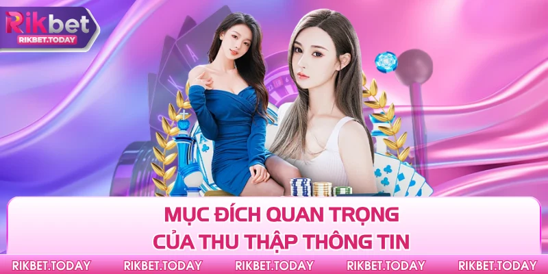 Mục đích quan trọng của thu thập thông tin
