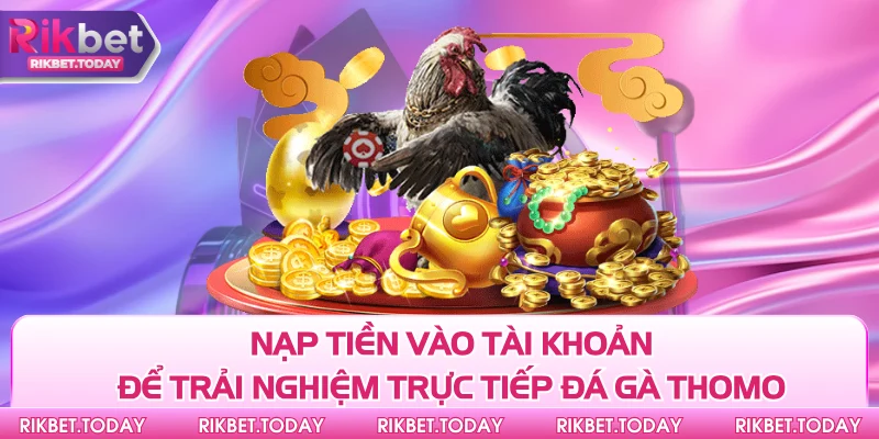 Nạp tiền vào tài khoản để trải nghiệm trực tiếp đá gà Thomo