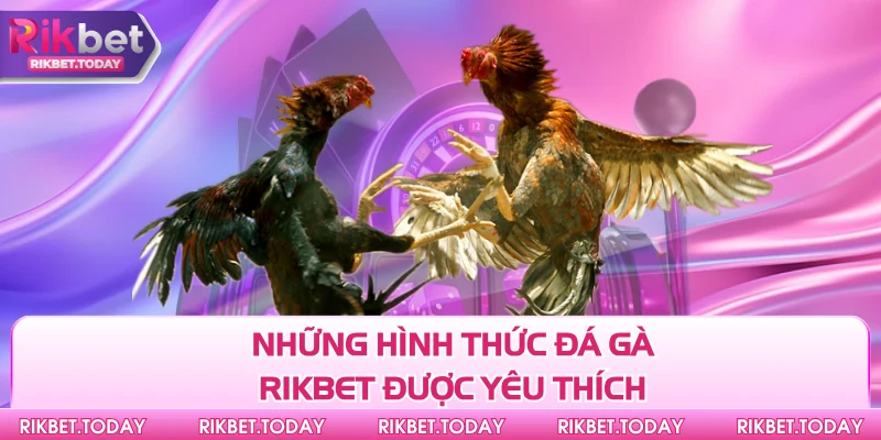 Những hình thức đá gà Rikbet được yêu thích