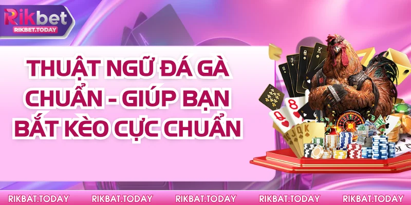 Thuật Ngữ Đá Gà Chuẩn - Giúp Bạn Bắt Kèo Cực Chuẩn 7 Thuật Ngữ Đá Gà