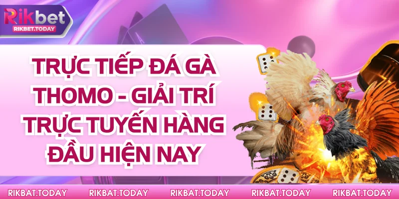Trực Tiếp Đá Gà Thomo - Giải Trí Trực Tuyến Hàng Đầu Hiện Nay 5 Trực Tiếp Đá Gà Thomo